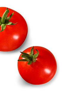 tomatoes